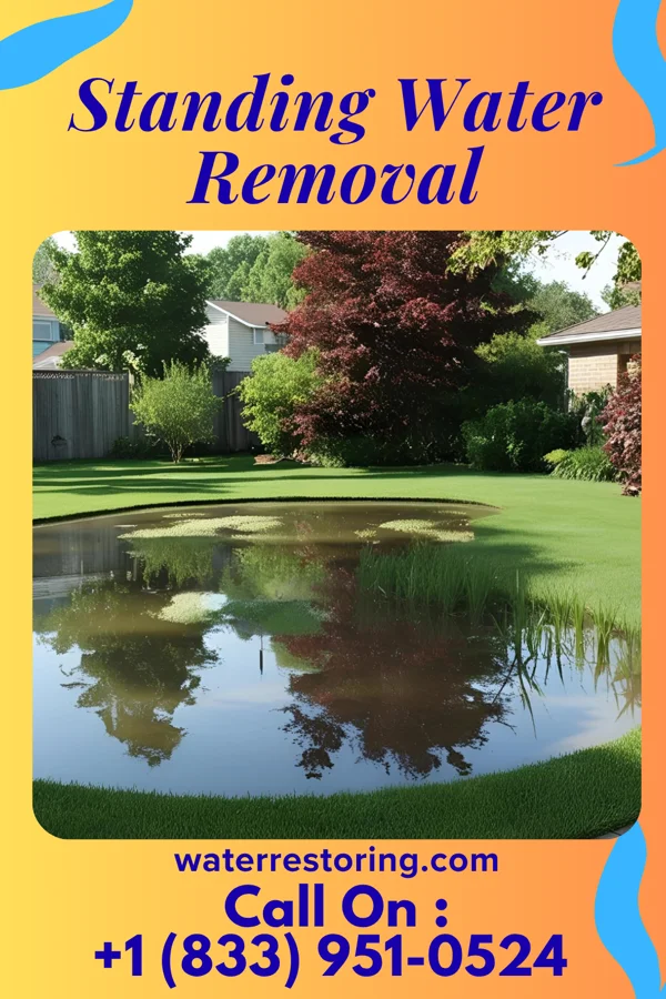 Standing Water Removal in Stanberry, MO